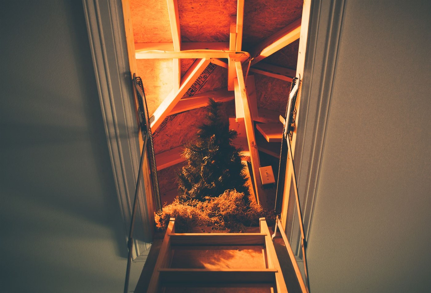 An open attic hatch with the pull-down ladder lowered, showing stored items in the roof space above